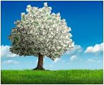 Click image for larger version

Name:	money tree.JPG
Views:	143
Size:	29.6 KB
ID:	95863
