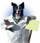 Click image for larger version

Name:	humorous-illustration-dog-in-labcoat.jpg
Views:	1674
Size:	264.9 KB
ID:	73007