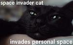 Click image for larger version

Name:	space_invader_cat.jpg
Views:	430
Size:	19.7 KB
ID:	17521