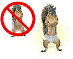 Click image for larger version

Name:	squirrelpants.jpg
Views:	714
Size:	22.3 KB
ID:	14238