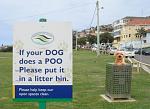 Click image for larger version

Name:	dogpoo.jpg
Views:	266
Size:	34.7 KB
ID:	99928