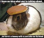 Click image for larger version

Name:	bunny_with_pancake.jpg
Views:	190
Size:	41.9 KB
ID:	74493