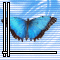 CastledBlue's Avatar